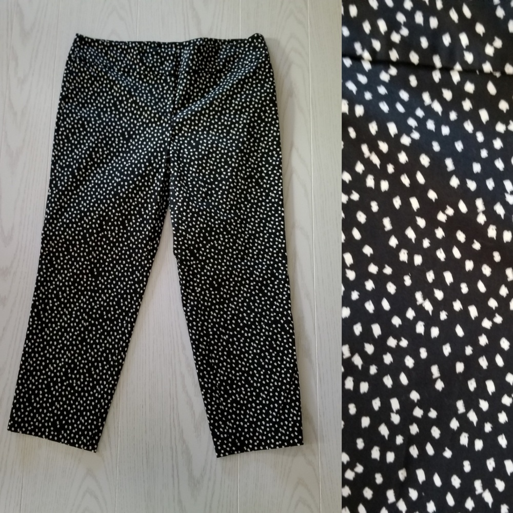 Ann Taylor Capri
